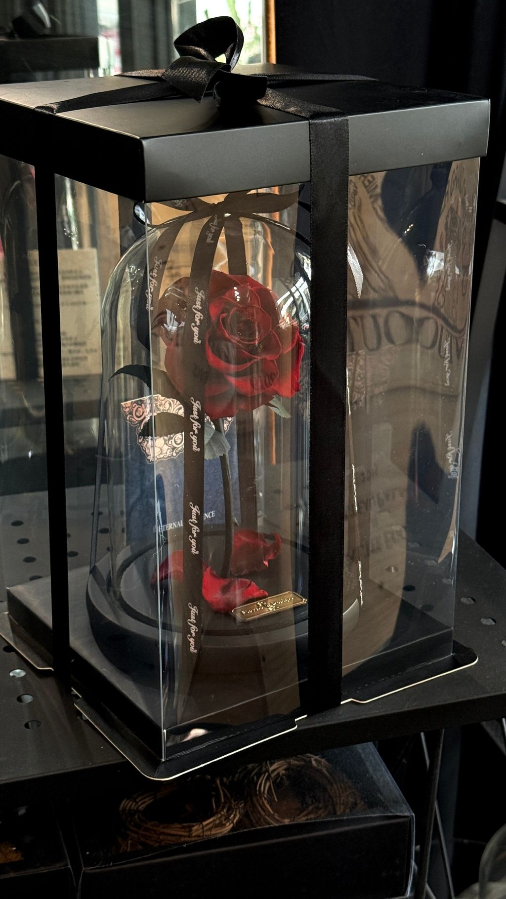 image_AC8DEF19-F465-49F2-80BC-FF5DD883D2A7_1768033576