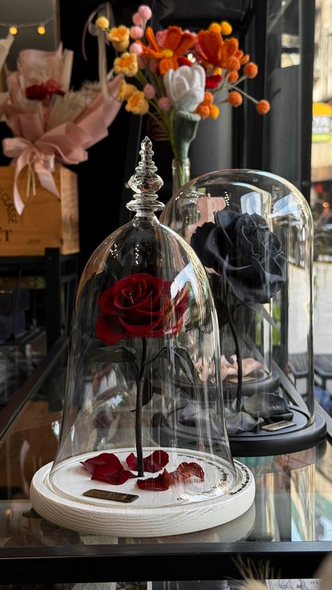 image_8E394D75-E6E0-434A-8A5C-25B8A210A992_1768035254