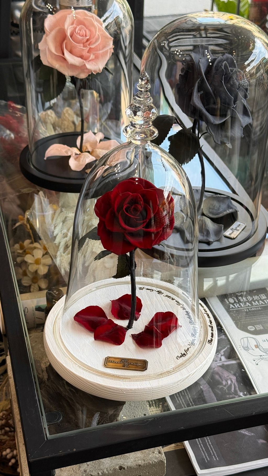 image_F9194C28-1DC1-4A6B-9E31-34BB7363DABB_1768035254