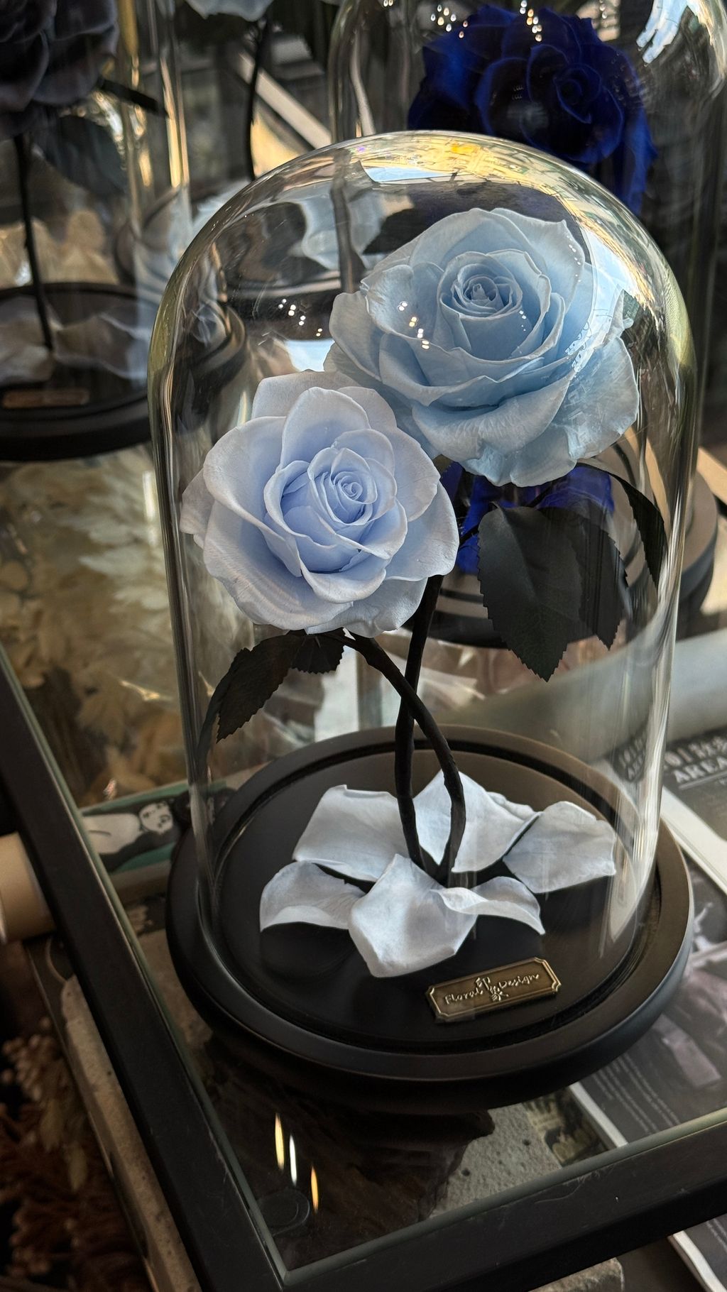 image_E8829B66-E208-4025-87BD-A0FF86CFC700_1768040934