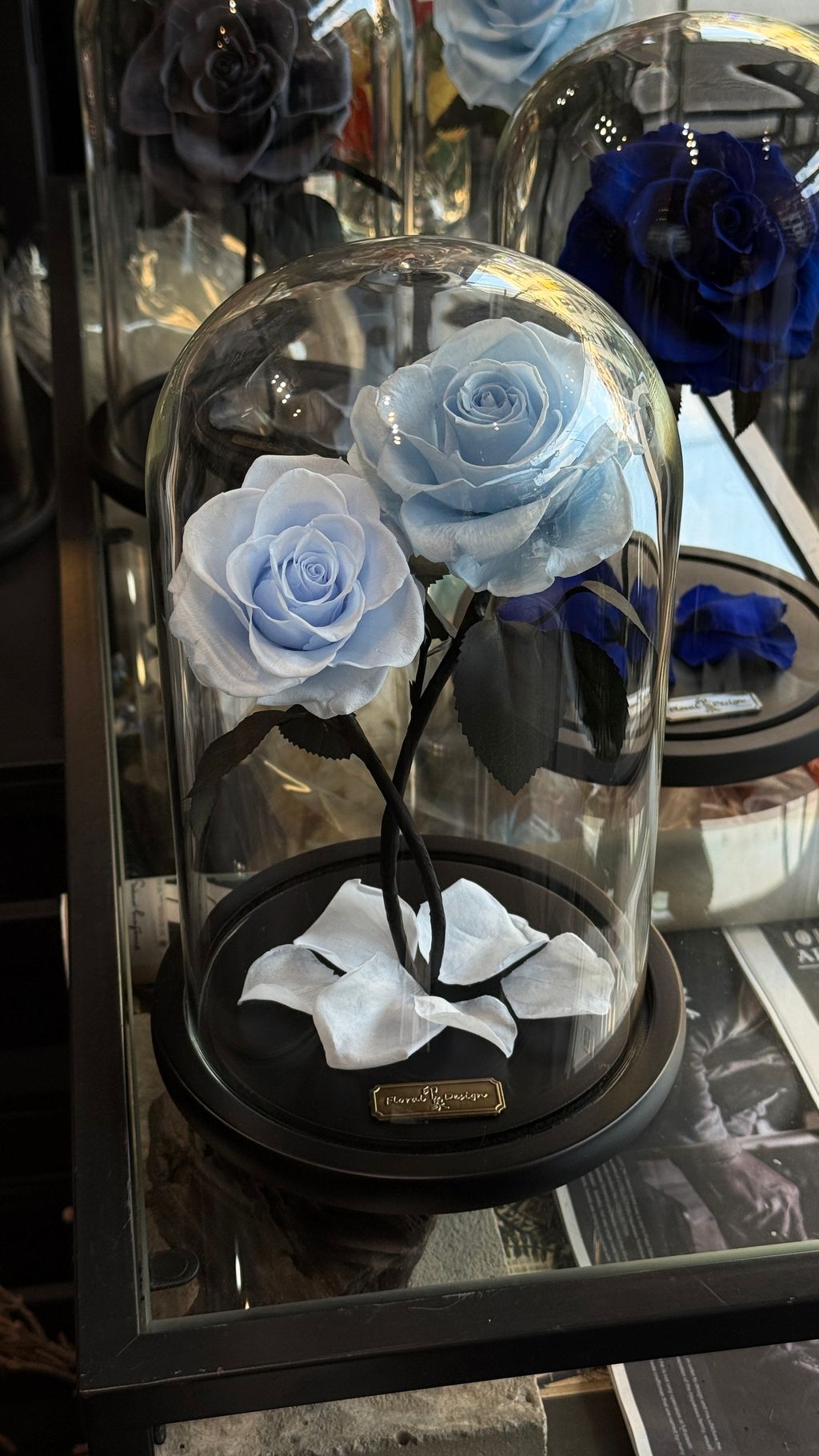 image_924F9178-10D4-403F-8141-3682BE954DB8_1768040934