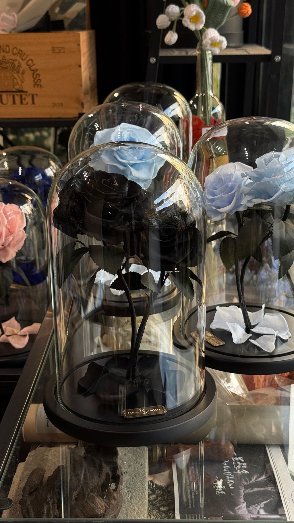 image_056A3FC8-D4A7-4041-A89B-F1A3A3E6553E_1768040934