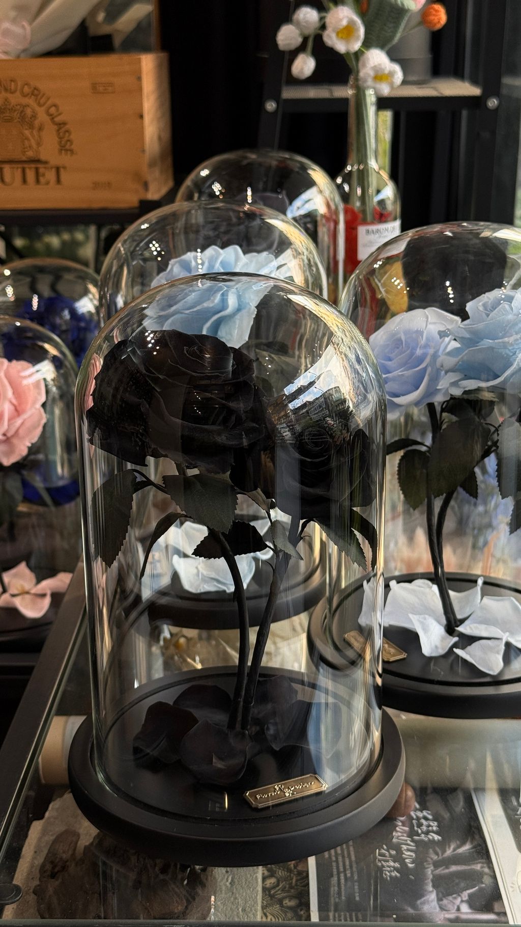 image_398F8F7C-F6C3-4759-A91C-D355B3F9FE24_1768040934