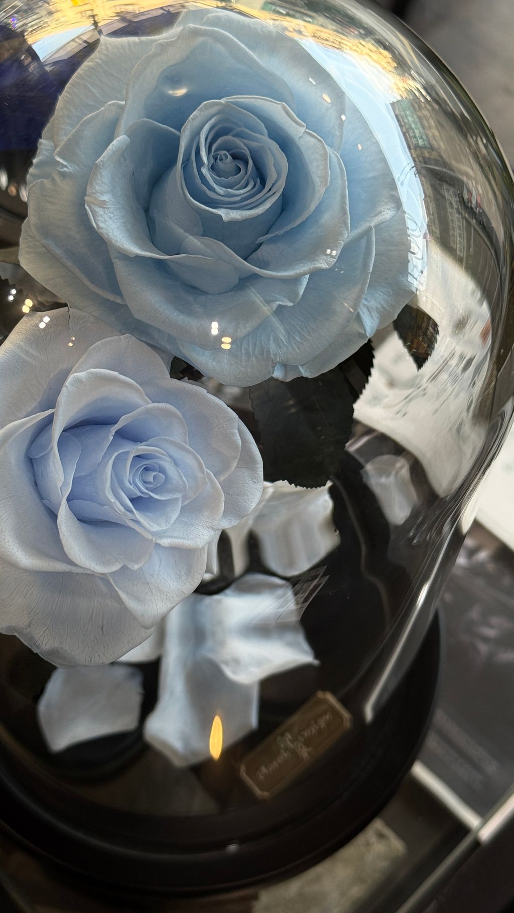 image_BA0D8CDA-4C10-415B-B74C-AFC090D391F6_1768040934