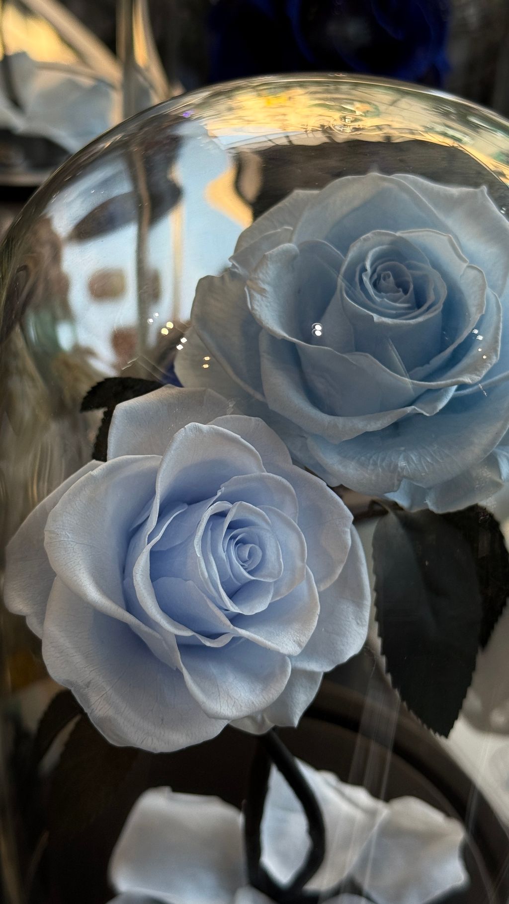 image_FDB95F35-3770-478B-B4CC-D1F9C128B9BF_1768040934