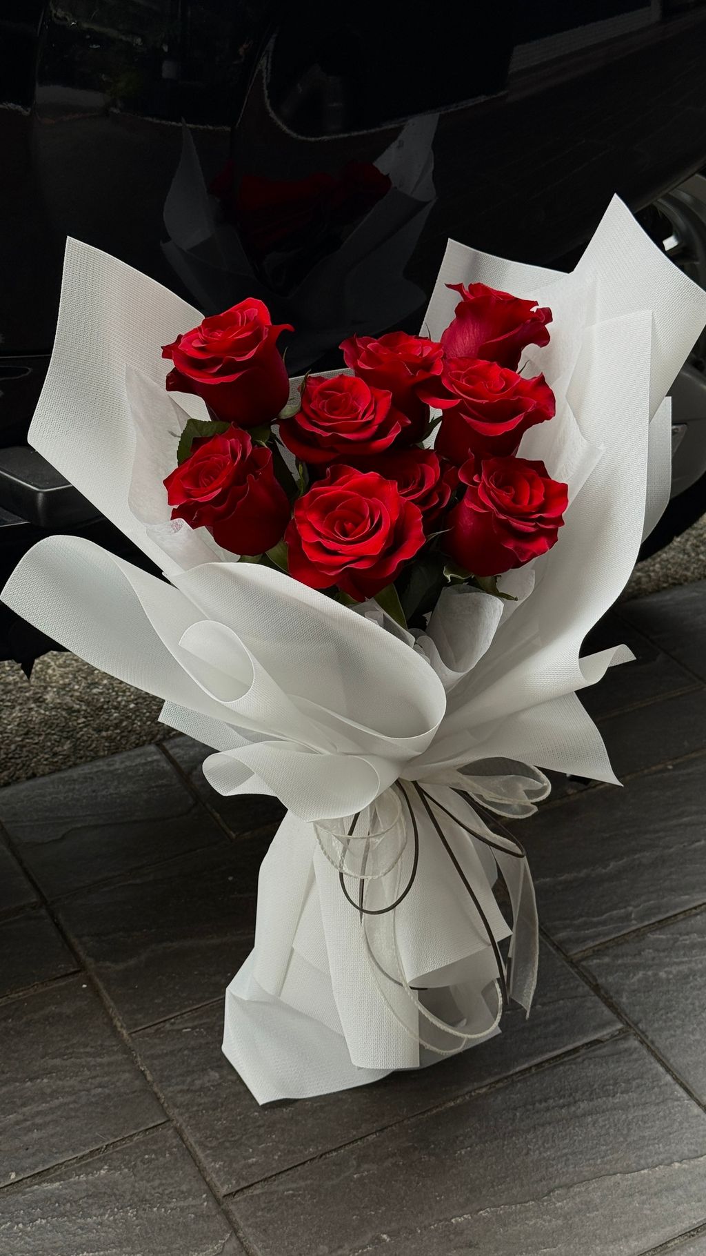 image_B86367AE-0CA3-4582-985D-D14327B89534_1770460194