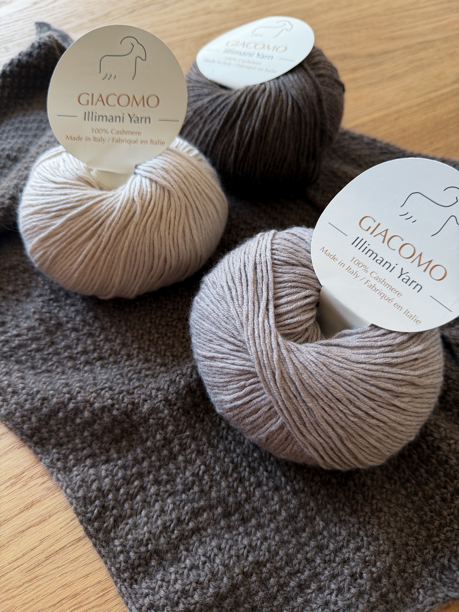 image_6DE06A2D-0360-492C-9076-50DA20903E06_1773639843