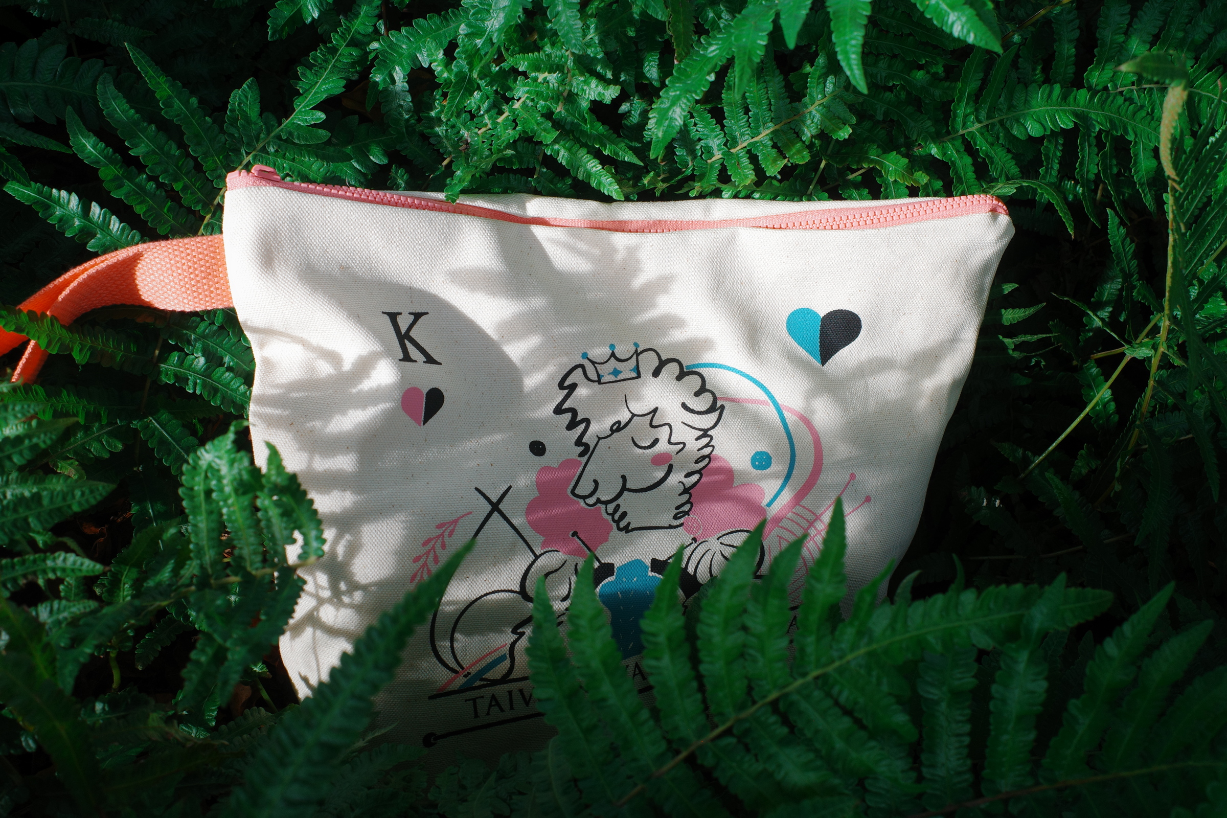 image_D204F32B-DB80-4F7A-8A2E-C7EF95610A52_1765775831