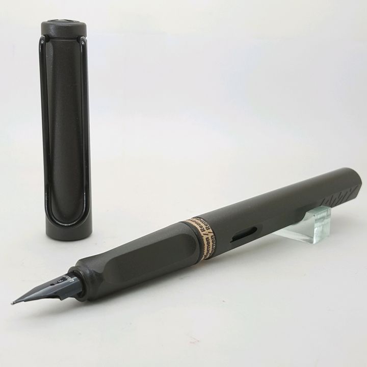 Safari 霧黑02.jpg