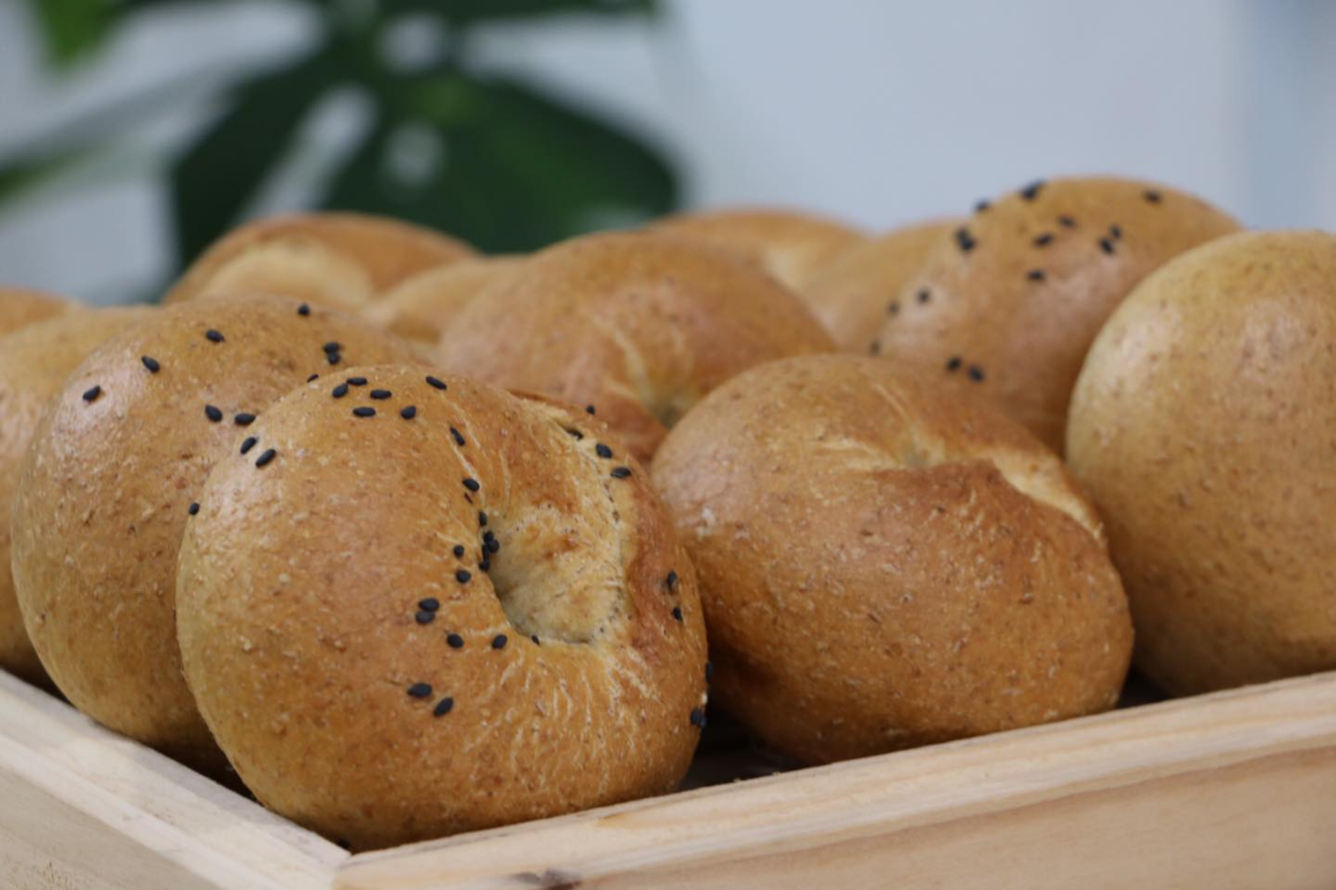 粄家小店 Db ban coffee house | Bagels