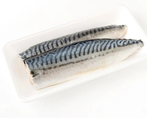 鯖魚