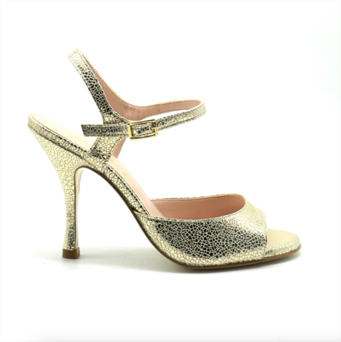 截圖 2026-01-29 中午12.18.57