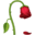 🥀