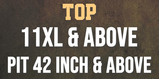 11XL ABOVE