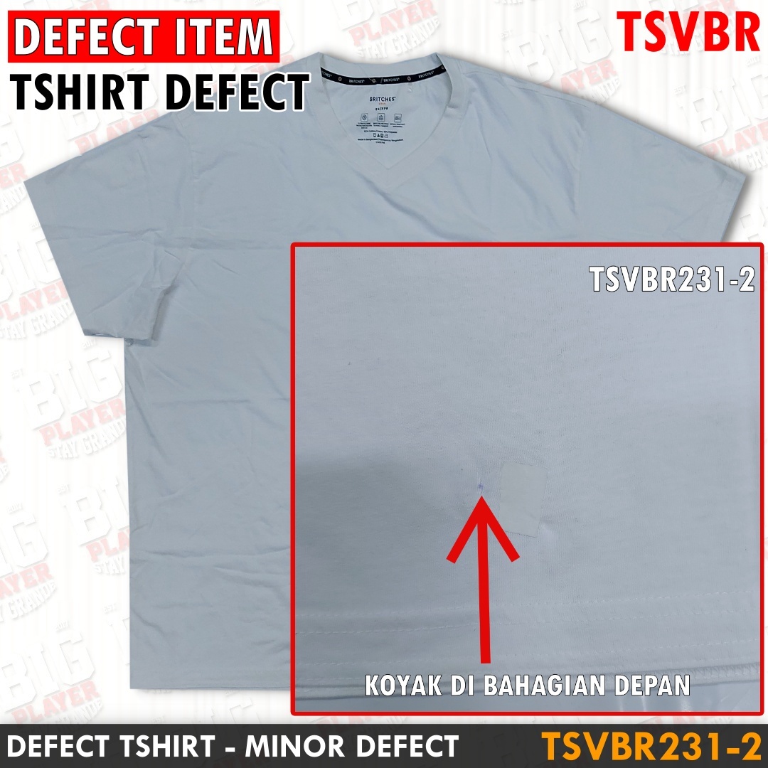 ES-TSVBR231-2