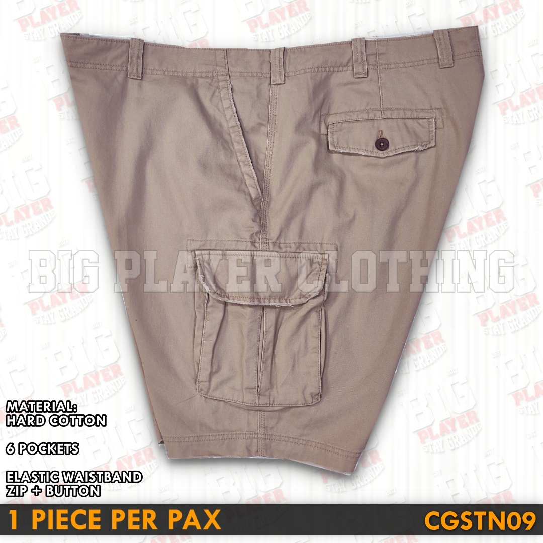 CGSTN09A