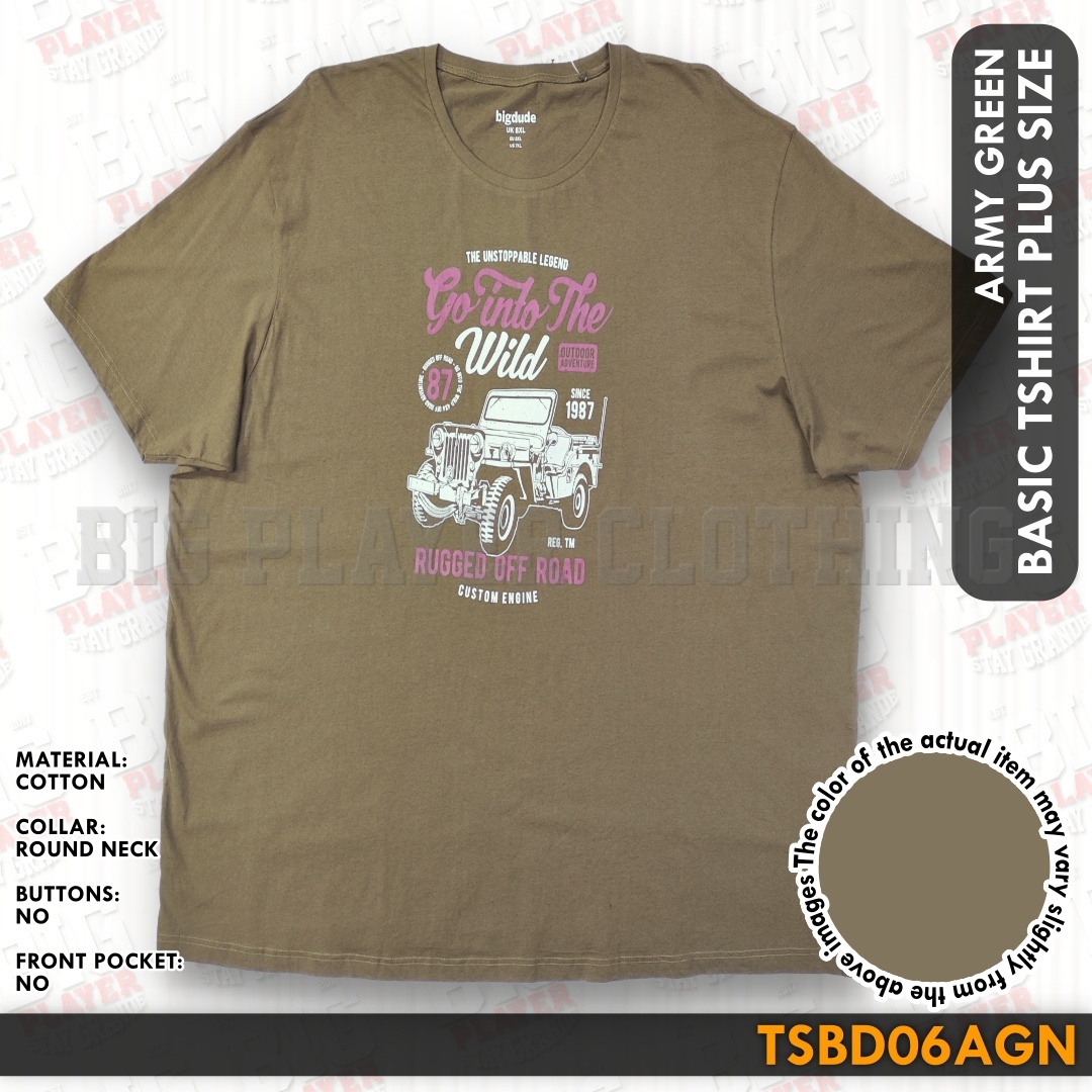 TSBD06AGN
