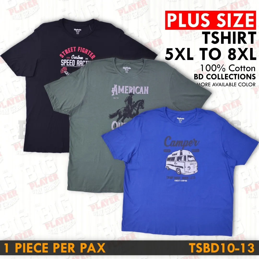 TSBD10-13