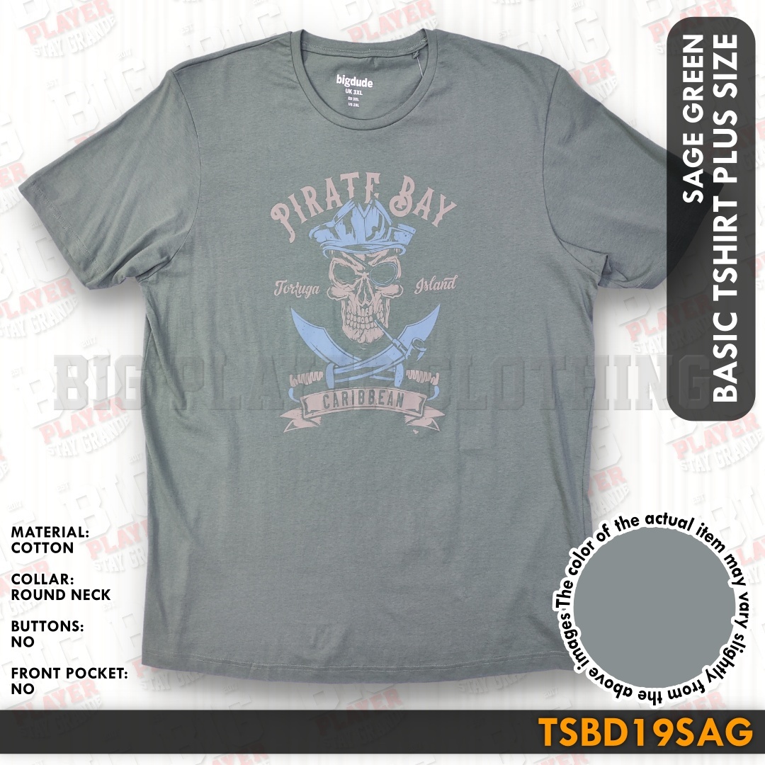 TSBD19SAG
