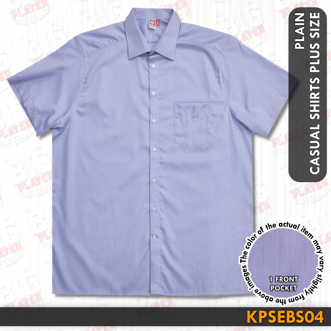 KPSEBS04