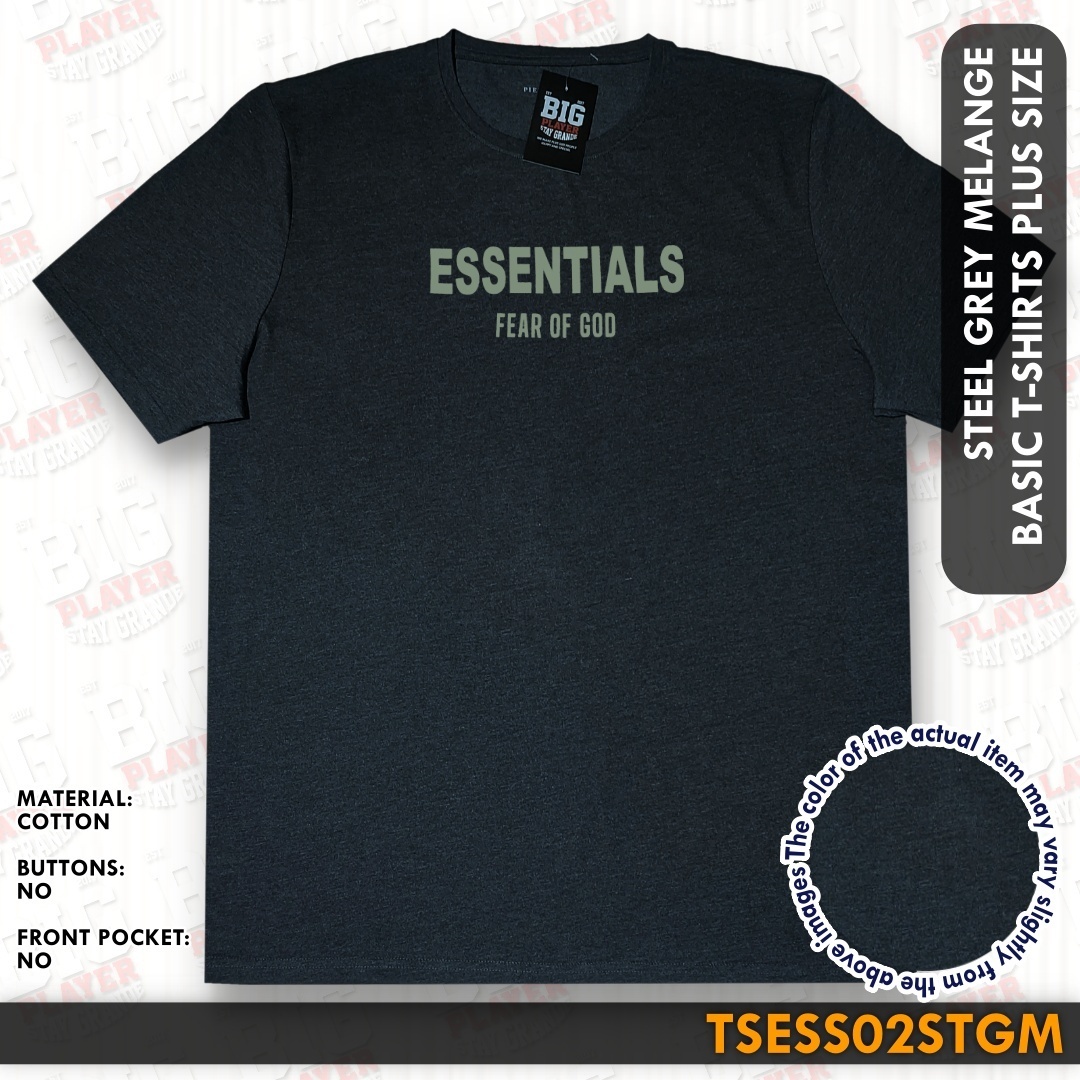 TSESS02STGM