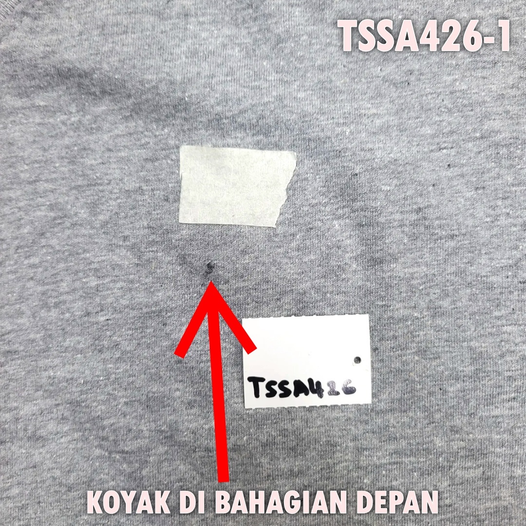 TSSA426-1