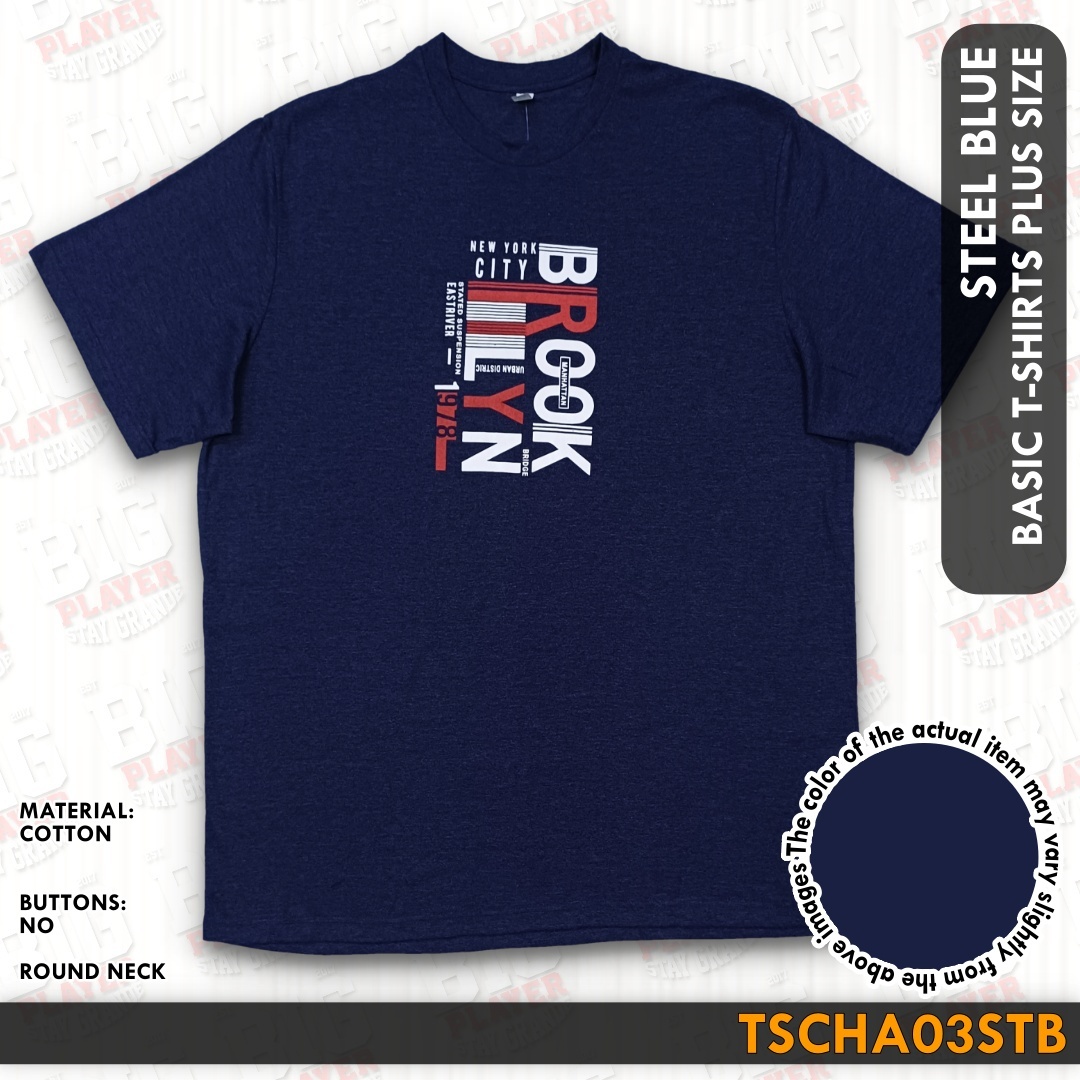 TSCHA03STB