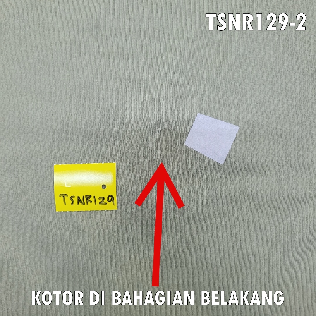 TSNR129-2