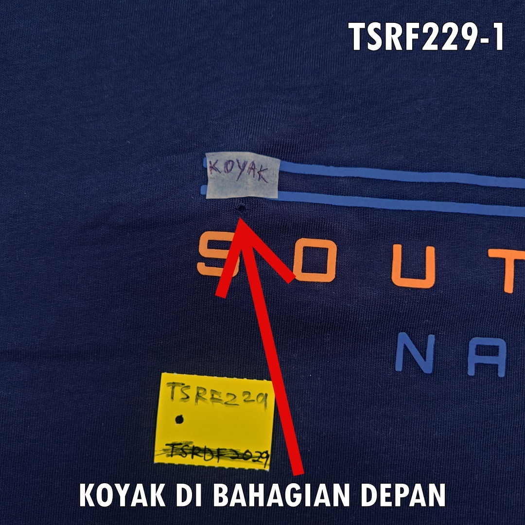 TSRF229-1