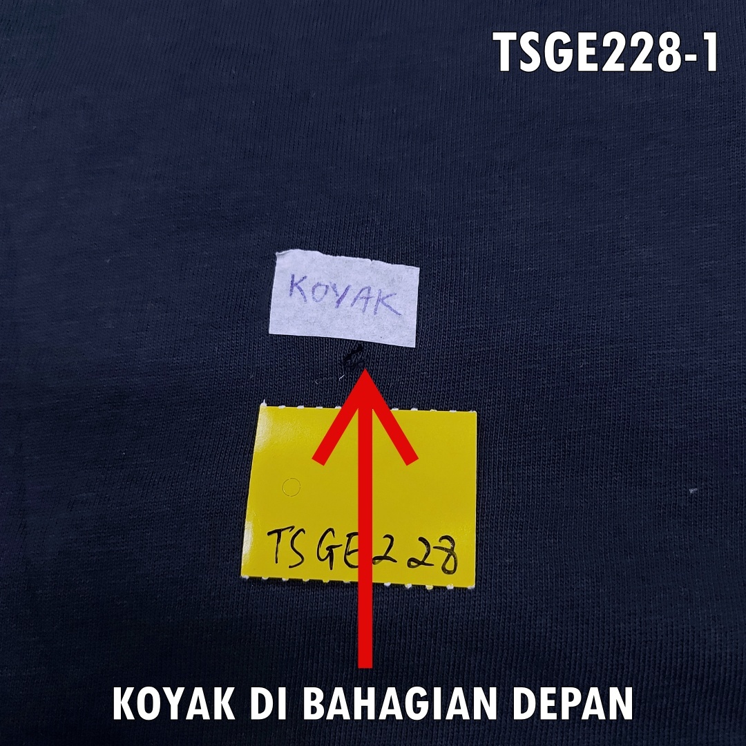 TSGE228-1