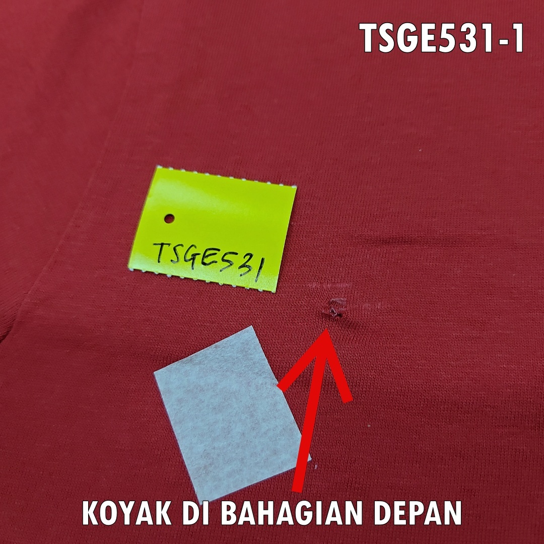 TSGE531-1