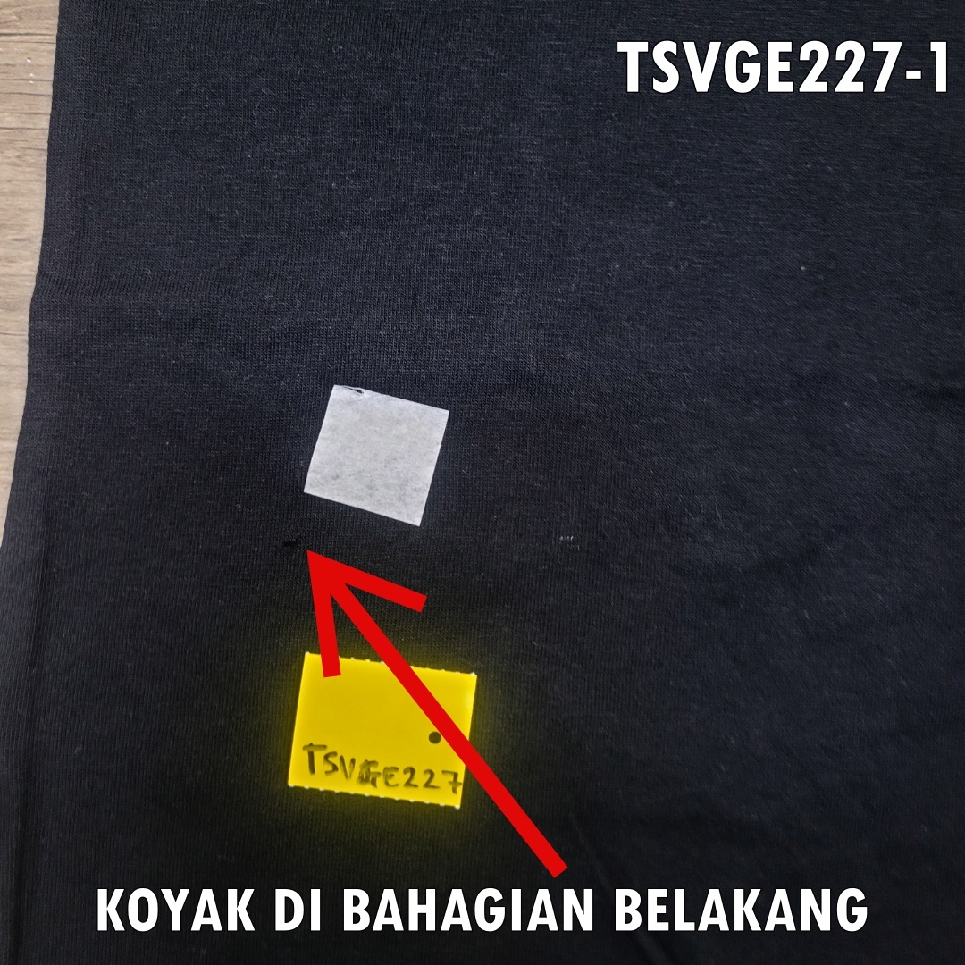 TSVGE227-1
