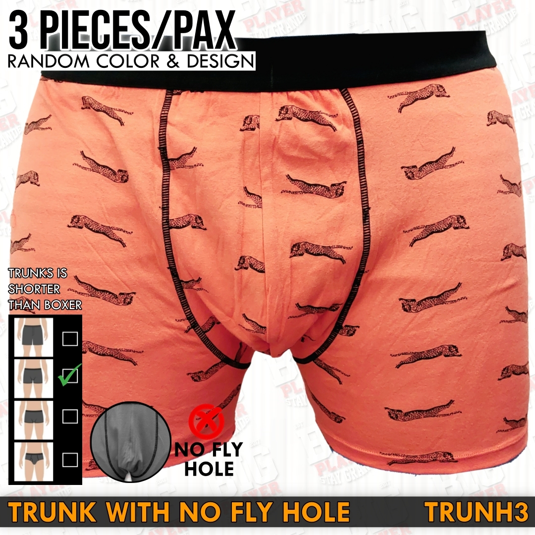 3 IN 1 TRUNK NO HOLE PIC 4