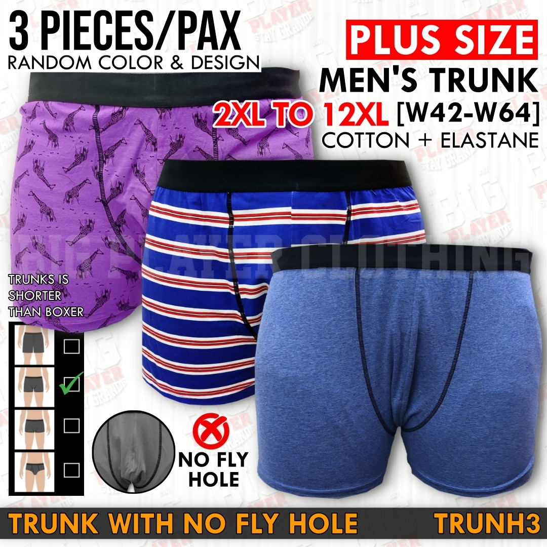 3 IN 1 TRUNK NO HOLE