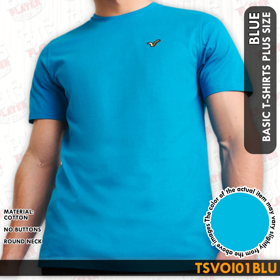 TSVOI01BLU