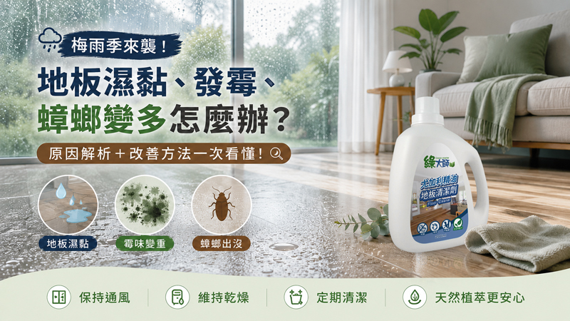 梅雨季地板濕黏、發霉、蟑螂出沒？原因解析與改善方法一次看