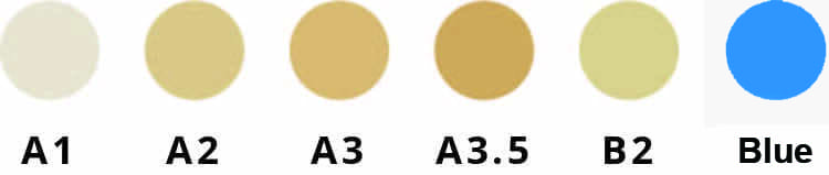 6433242.jpeg