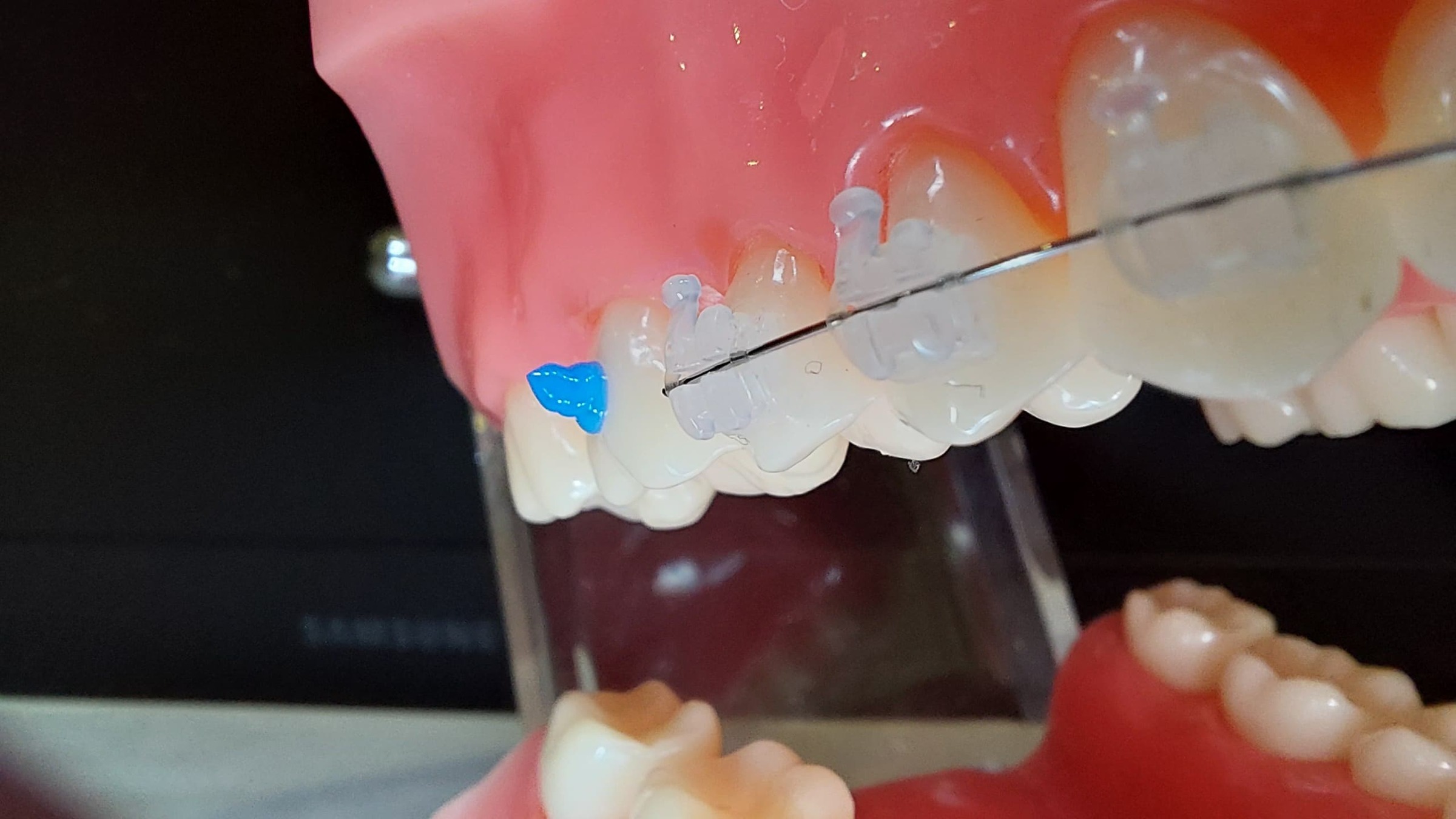 WhatsApp Image 2026-02-09 at 13.37.44