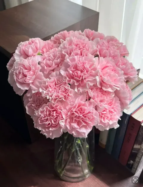 Superwoman Fresh Carnation Bouquet 3