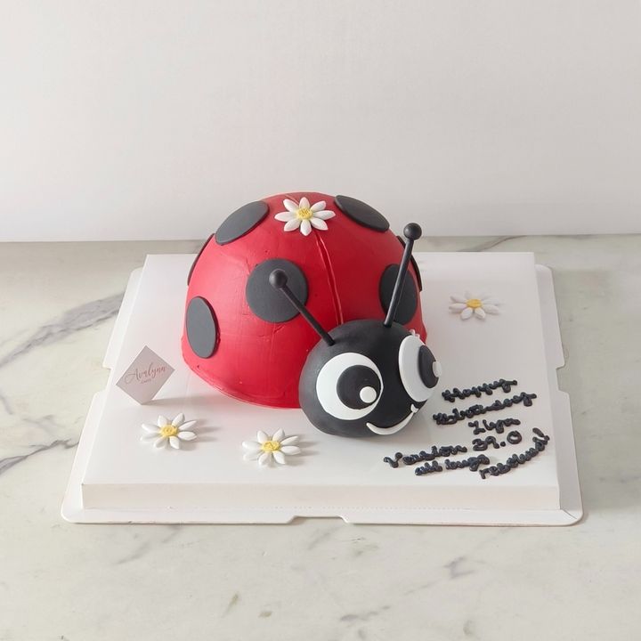 Product Images 2.0 (1)