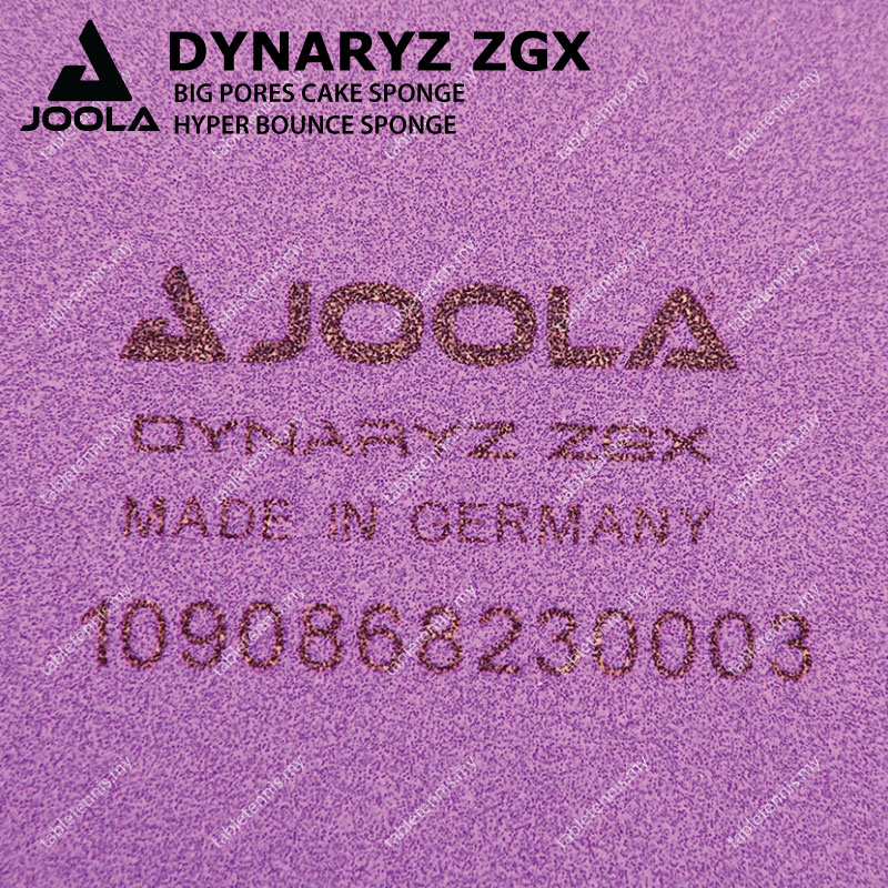Joola-Dynaryz-ZGX-P6