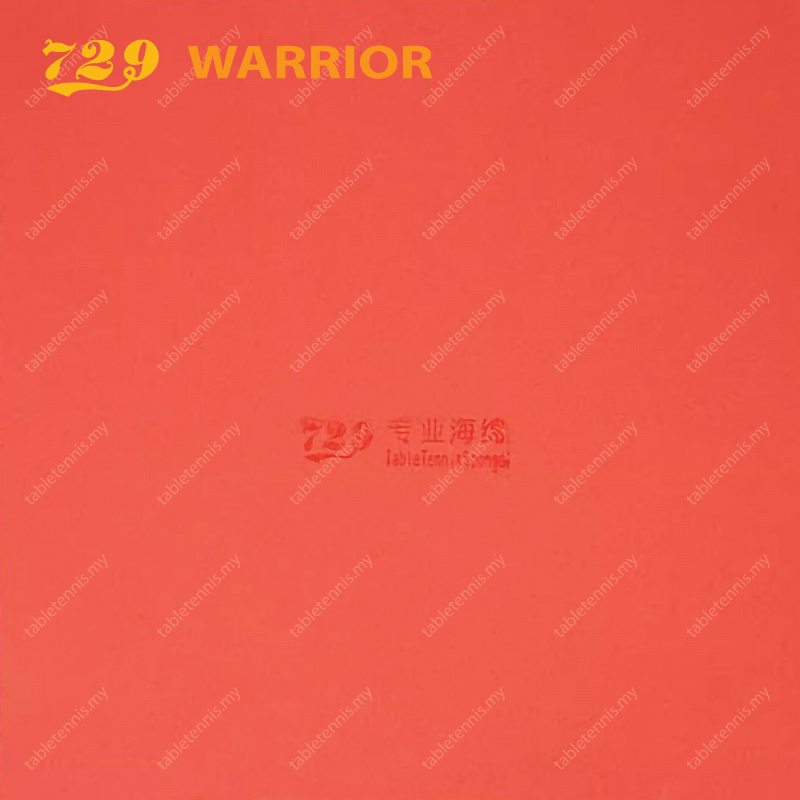 729-Warrior-P2