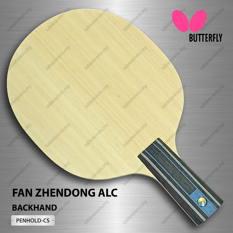 Butterfly-Fan-Zhendong-ALC-CS-P2