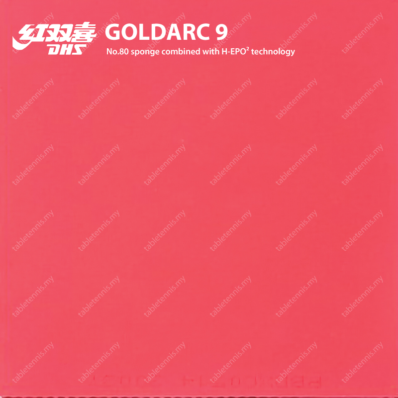 DHS-Goldarc-9-P3