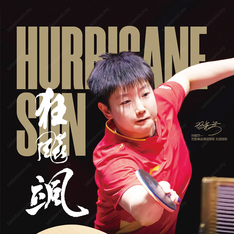Hurricane-Sun-S968-FL---P8