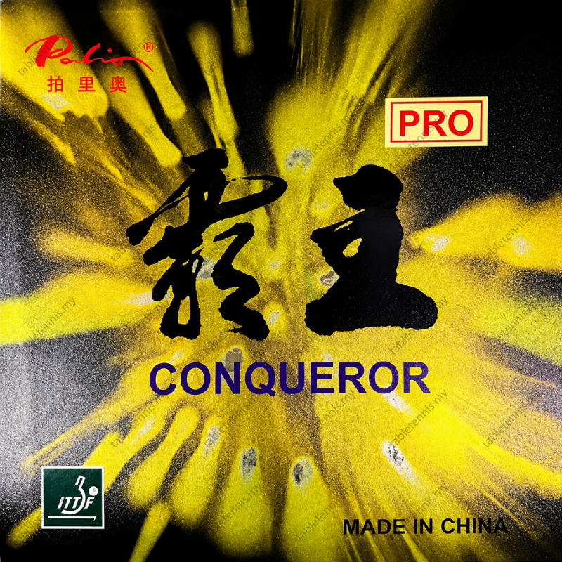 Palio-Gold-Conqueror-P5