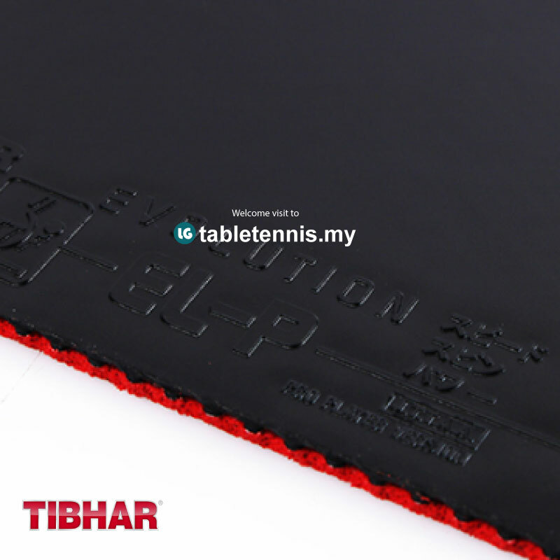 Tihbar-Elp-3.jpg