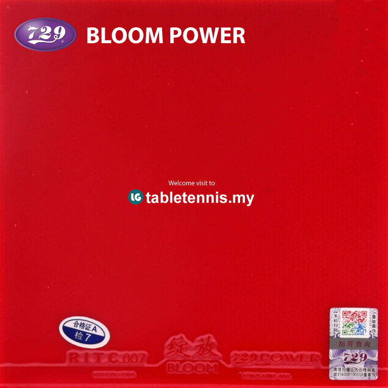 729-Bloom-Power-P2.jpg