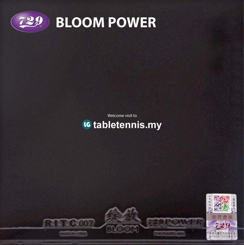 729-Bloom-Power-P3.jpg