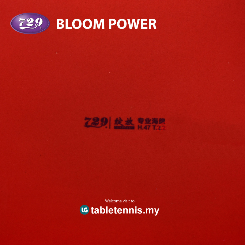 729-Boom-Power-P4.jpg